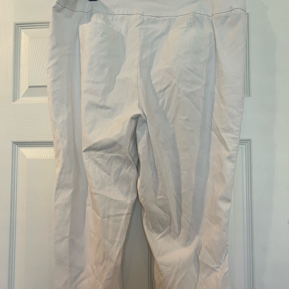 Kim Rogers Plus Size Millennium Capri Pants